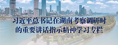 这是描述信息